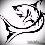 Классный пример эскиза наколки АКУЛА – рисунок подойдет для тату акула якоремтату акулы груди