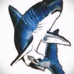 Прикольный пример эскиза тату АКУЛА – рисунок подойдет для тату акула на руке