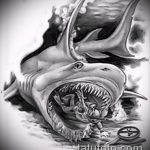 Оригинальный пример эскиза татуировки АКУЛА – рисунок подойдет для тату акула якоремтату акулы груди