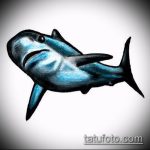 Оригинальный пример эскиза наколки АКУЛА – рисунок подойдет для тату акула олд скул