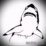 Крутой пример эскиза татуировки АКУЛА – рисунок подойдет для тату акула олд скул