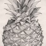 Оригинальный вариант эскиза наколки АНАНАС – рисунок подойдет для тату ананас на пальце