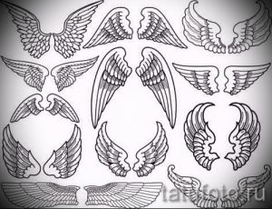 Набор черно-белых эскизов крыльев различных форм и размеров для татуировки, выполненных в графическом стиле.