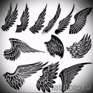 Фото коллекции эскизов татуировок крыльев в различных стилях и размерах. Идеально для тех, кто ищет вдохновение для воздушной татуировки.