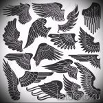 Необычный эскиз тату крылья – рисунок наколки крыло подойдет для тату волк с крыльями