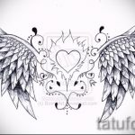 Необычный эскиз тату крылья – рисунок наколки крыло подойдет для тату сердце с крыльями