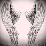 Необычный эскиз тату крылья – рисунок наколки крыло подойдет для крыло ангела демона тату