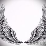 Необычный эскиз тату крылья – рисунок наколки крыло подойдет для тату крылья дьявола
