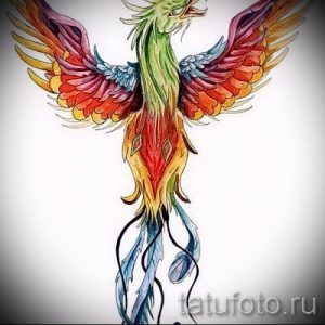 Фото тату феникса, выполненного в ярких радужных цветах. Птица с расправленными крыльями, символизирует надежду и обновление.