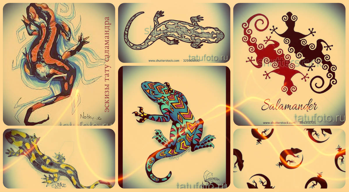 Эскизы тату саламандра - рисунки для идеи татуировки с саламандрой