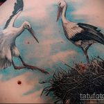Интересный пример готовой наколки аист – рисунок подойдет для тату аист на руку