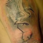 Оригинальный вариант нанесенной тату аист – рисунок подойдет для тату аист на шее
