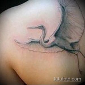 Зачетный пример нанесенной наколки аист – рисунок подойдет для тату аист летит