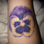 Интересный пример существующей татуировки анютины глазки – рисунок подойдет для тату цветы анютины глазки