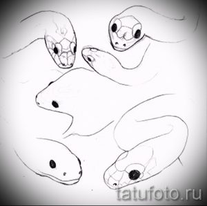 Черно-белый эскиз татуировки с изображением нескольких голов змей. Минималистичный рисунок, символизирующий мудрость и опасность.