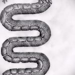 Классный вариант тату эскиз змеи – можно использовать для змей картинка тату