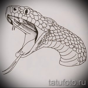 Эскиз татуировки с изображением агрессивно шипящей змеи, выполненный в графическом стиле. Подходит для тех, кто хочет подчеркнуть свою силу и независимость.