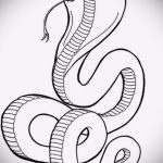 Оригинальный вариант тату эскиз змеи – можно использовать для тату змея на кисти