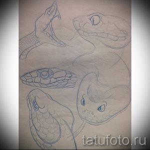Набор эскизов голов змей, выполненных в карандашной технике. Различные ракурсы и выражения лиц змей предлагают множество идей для татуировки.