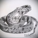 Интересный вариант татуировки эскиз змеи – можно использовать для тату змей шее