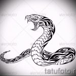Классный вариант тату эскиз змеи – можно использовать для тату змея с цветами