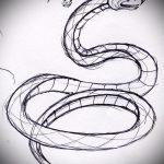 Классный вариант тату эскиз змеи – можно использовать для тату змея вокруг руки