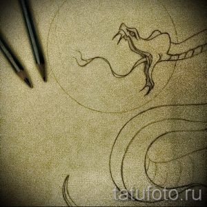 Интересный вариант тату эскиз змеи – можно использовать для тату змея с розой