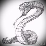 Интересный вариант татуировки эскиз змеи – можно использовать для голова змеи тату