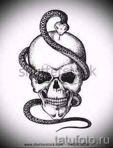 Стильный вариант тату эскиз змеи – можно использовать для змей картинка тату