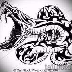 Достойный вариант тату эскиз змеи – можно использовать для тату змея на руке
