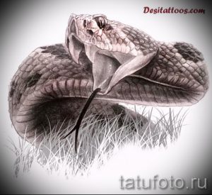 Фото реалистичной татуировки змеи, скрученной на траве. Детализированная прорисовка чешуи, глаз и травы создает эффект присутствия. Идеально для любителей натурализма.