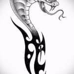 Оригинальный вариант тату эскиз змеи – можно использовать для тату змея на лопатке