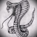 Классный вариант тату эскиз змеи – можно использовать для тату змей плече
