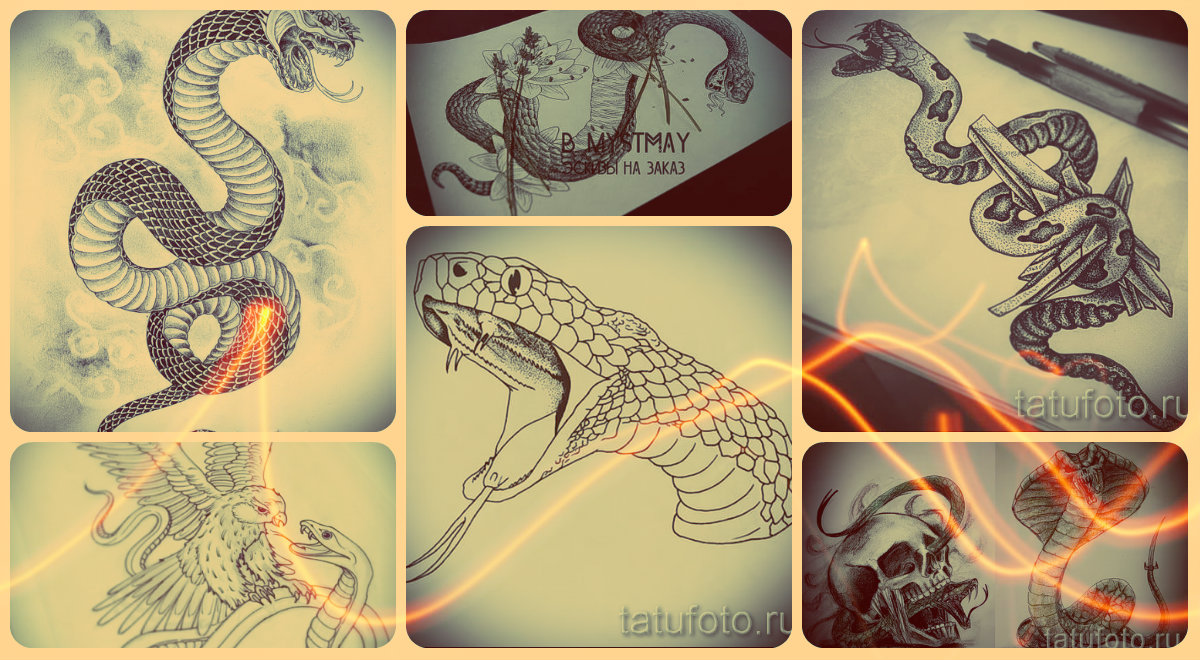 Эскизы тату змея - рисунки для классных татуировок со змеей