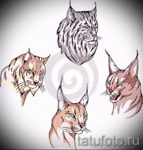 Коллаж из четырех эскизов татуировок рысей, выполненных в разных стилях и цветовых решениях. Разнообразие для выбора идеального рисунка.