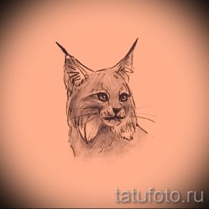 Простой эскиз татуировки рыси, выполненный карандашом на фоне персикового цвета. Легкий и воздушный рисунок, идеально подходящий для начинающих.