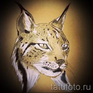 Фото тату рыси, выполненное в реалистичном стиле с использованием теплых оттенков. Изображение отличается высокой детализацией и передачей текстуры шерсти.