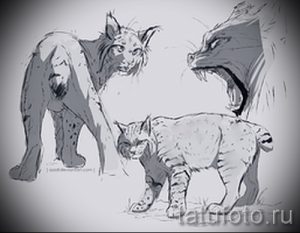 Эскиз татуировки рыси, изображенной в трех разных позах: стоящей, пригнувшейся и рычащей. Идеально для создания динамичной композиции.