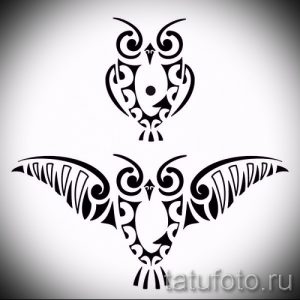 Черно-белый эскиз татуировки с двумя совами в стиле трайбл. Стилизованные изображения птиц с узорчатыми крыльями.