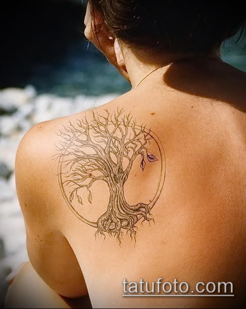 Татуирови деревьев - tattoohacom Татуирови деревьев - tattoohacom
