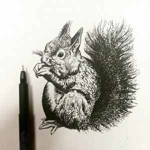 Черно-белый эскиз татуировки белки, грызущей орех. Детализированный рисунок, выполненный с использованием точечной техники, создает эффект объема и текстуры.