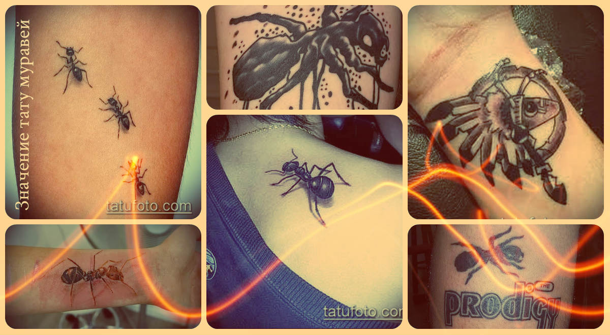 Значение тату муравей - примеры удачных тату на фото
