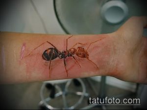Фото тату реалистичного муравья на запястье. Детализированный рисунок татуировки с прорисовкой всех элементов насекомого.