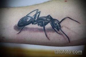 Фото тату муравья, выполненного в технике blackwork. Черно-белый рисунок с использованием плотных черных заливок. Расположение на предплечье.