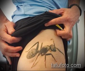 Фото тату реалистичного муравья на бедре. Детализированный рисунок с прорисовкой всех элементов тела. Черно-серые тона с добавлением красных акцентов.