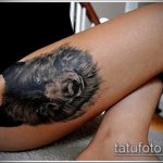 фото тату волчица №299 - классный вариант рисунка, который хорошо можно использовать для преобразования и нанесения как тату волчица и волк