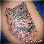 фото тату волчица №247 - классный вариант рисунка, который успешно можно использовать для доработки и нанесения как тату волчица для девушек