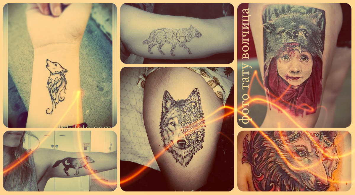 Фото тату волчица - оригинальные варианты татуировок для создания своего рисунка тату