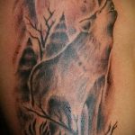 фото тату воющий волк №464 - достойный вариант рисунка, который удачно можно использовать для доработки и нанесения как волк на луну воет тату