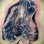 фото тату воющий волк №657 - классный вариант рисунка, который удачно можно использовать для доработки и нанесения как волк воющий тату